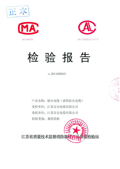 檢測(cè)報(bào)告2