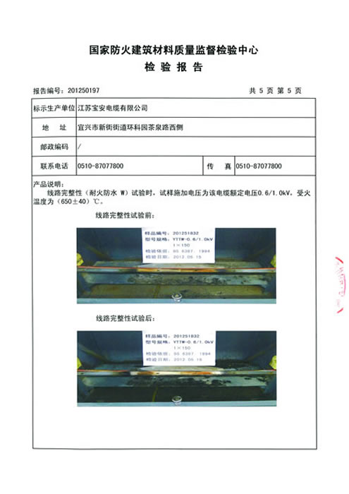 檢測(cè)報(bào)告1