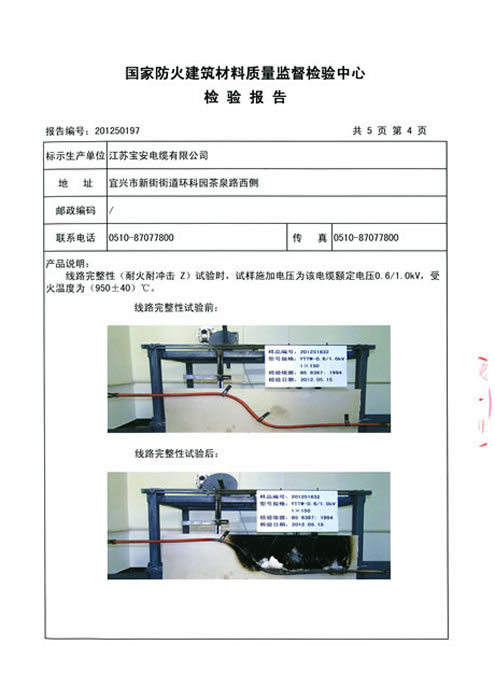 檢測(cè)報(bào)告1