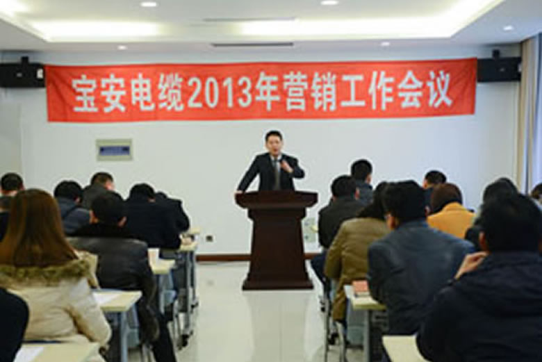 寶安電纜2013年?duì)I銷工作會議隆重召開
