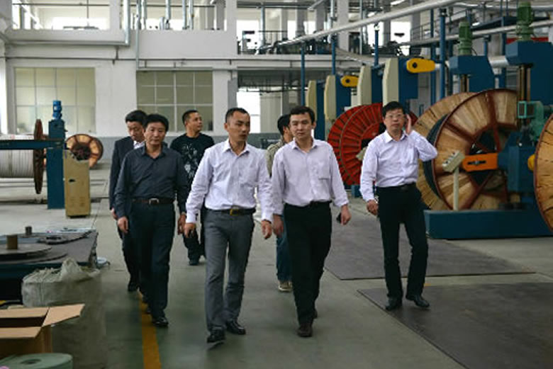 安徽黃山供電公司領(lǐng)導(dǎo)蒞臨我公司參觀指導(dǎo)